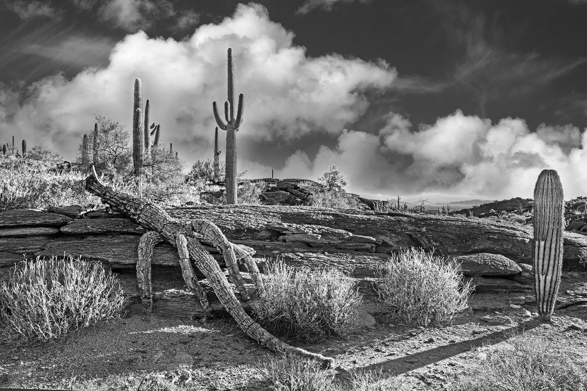 Lost Souls of South Mountain 02 Lost Souls of South Mountain 02