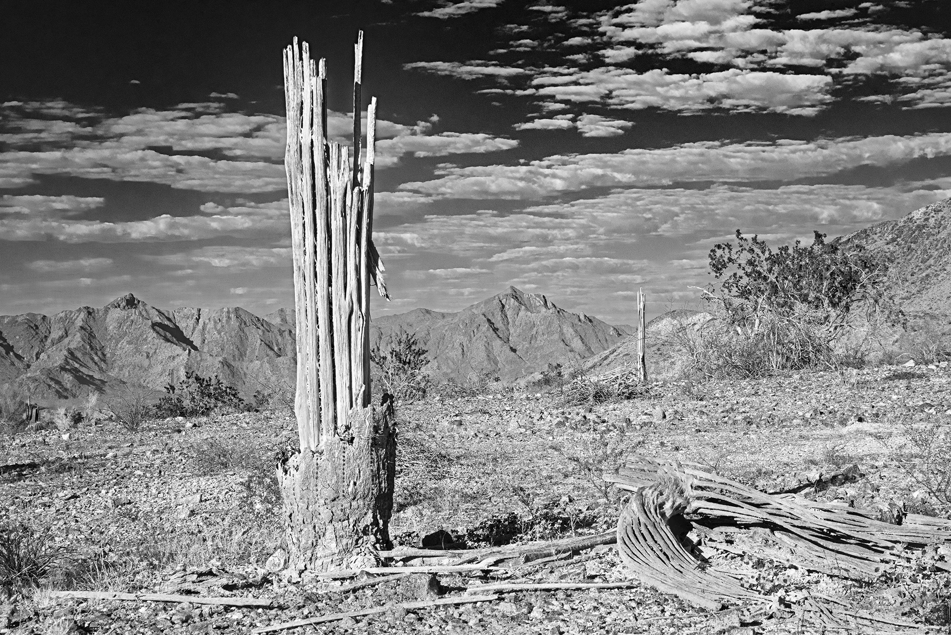Lost Souls of South Mountain 07 Lost Souls of South Mountain 07