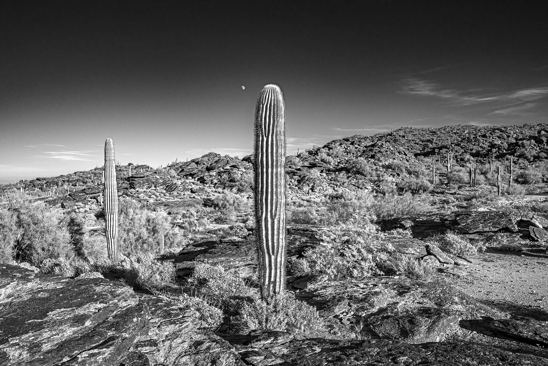 Lost Souls of South Mountain 13 Lost Souls of South Mountain 13
