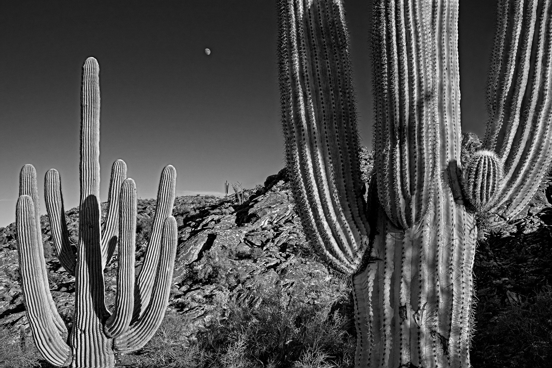 Lost Souls of South Mountain 18 Lost Souls of South Mountain 18