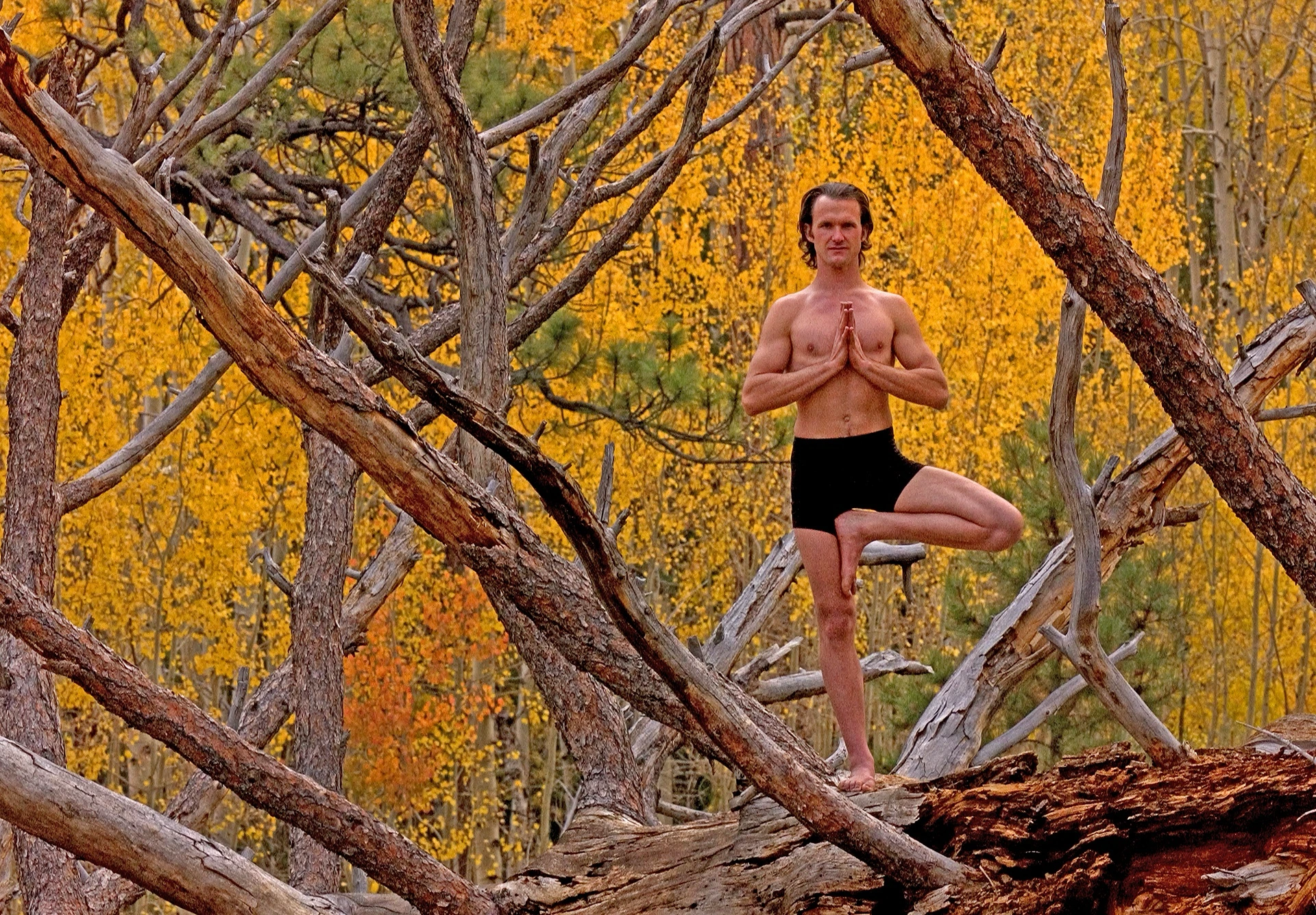 Caiyam Carroll / Kaibab National Forest / Flagstaff, Arizona Caiyam Carroll / Kaibab National Forest / Flagstaff, Arizona