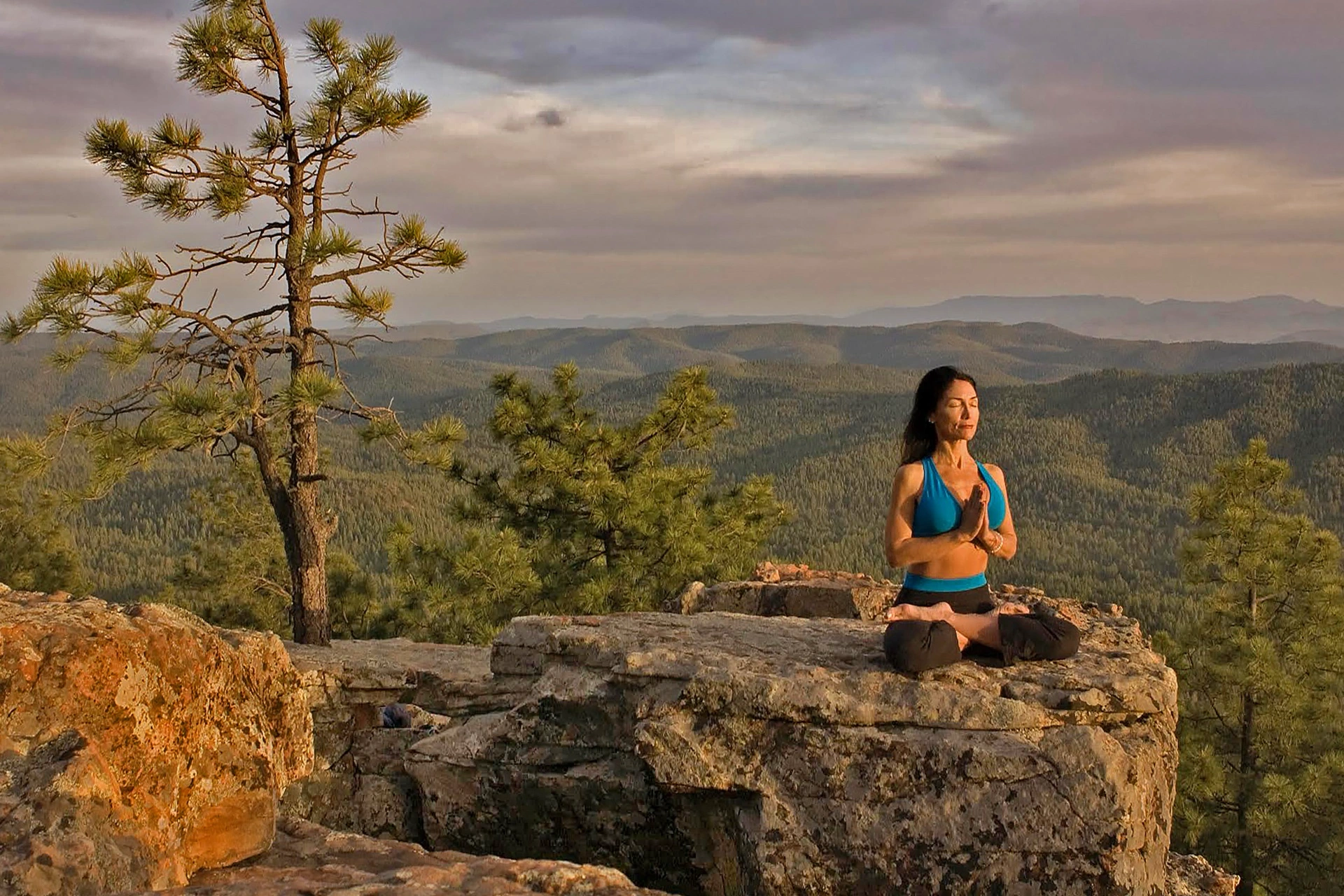 Jeannine Marzella / Mogollon Rim, Arizona Jeannine Marzella / Mogollon Rim, Arizona